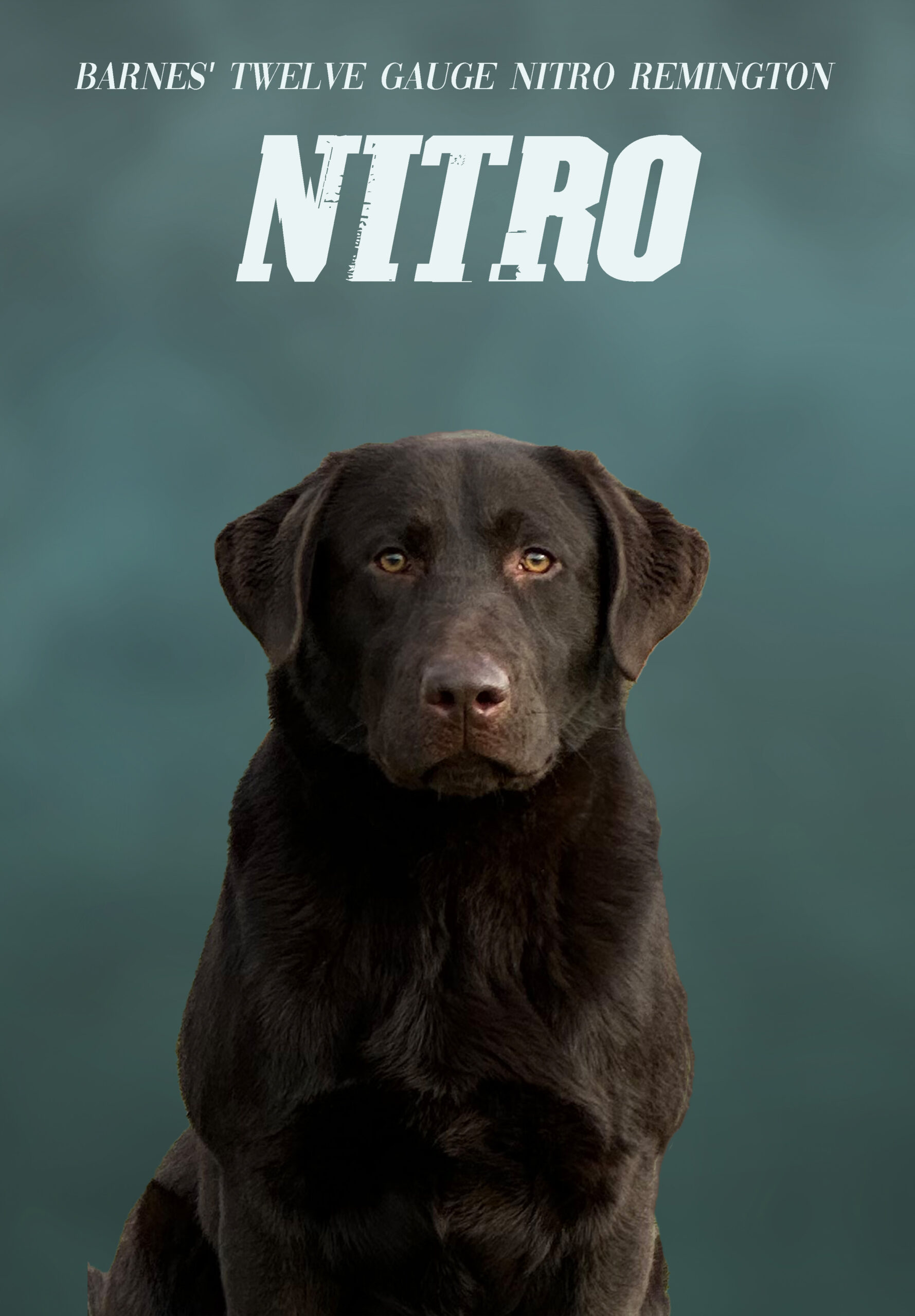 nitro_no pedigree[16104]