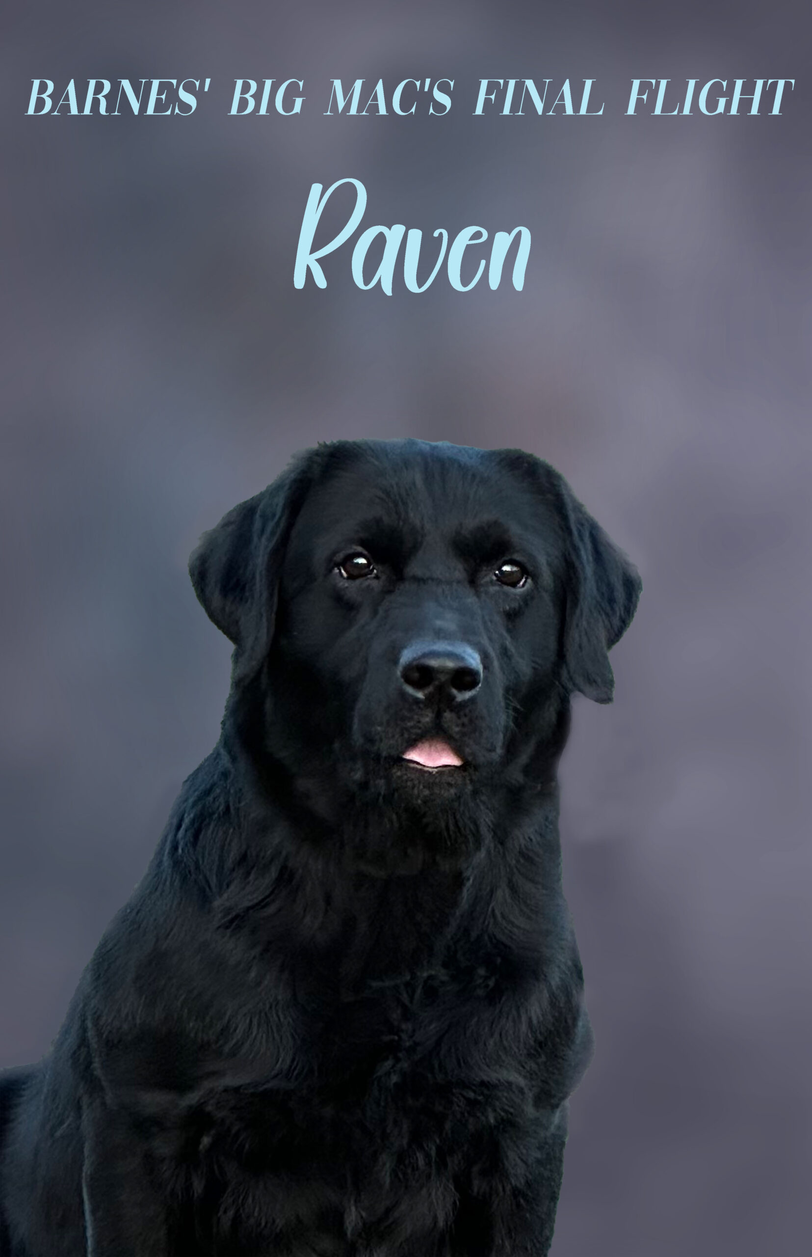 raven_no pedigree small[16005]