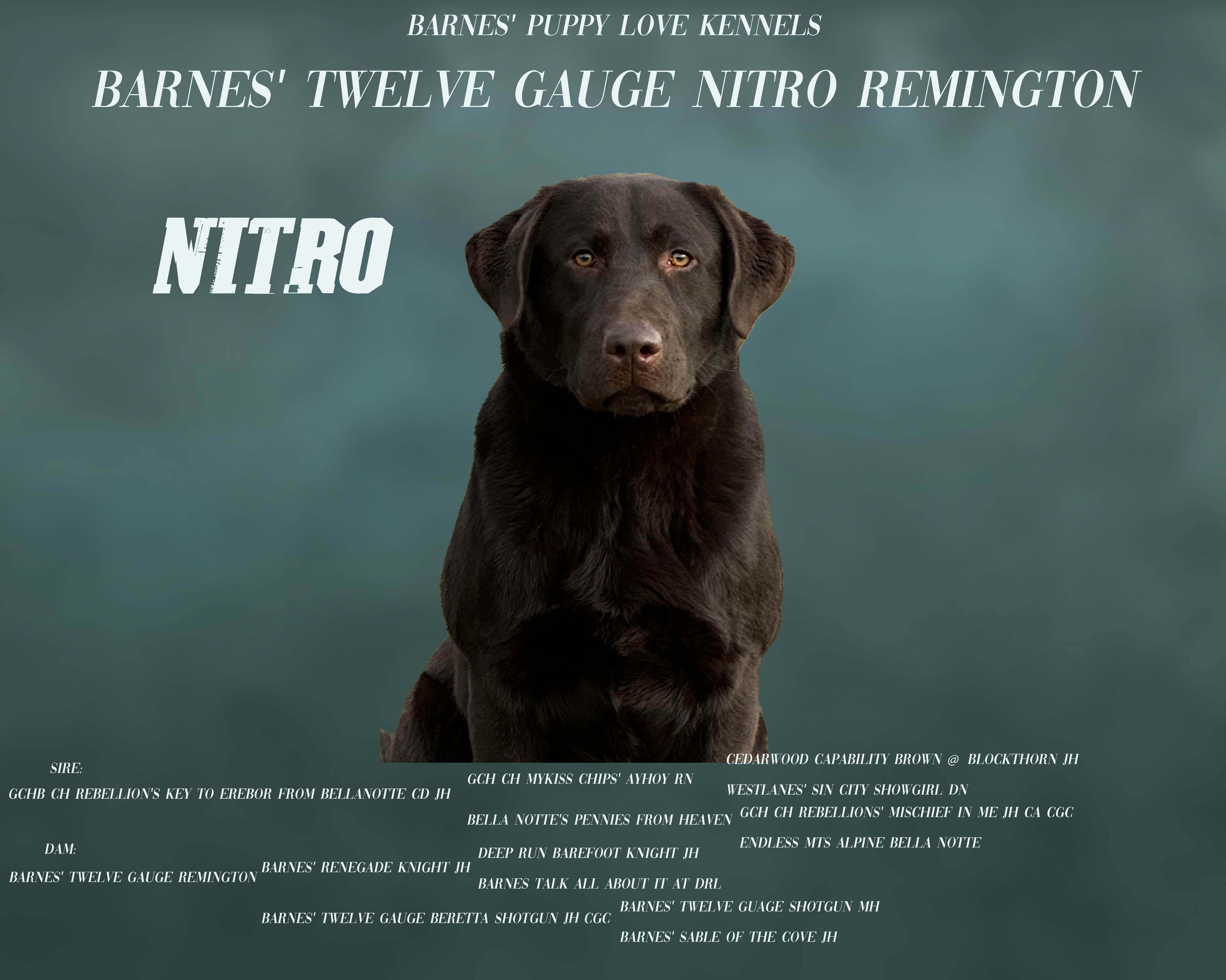 nitro_with pedigree small[16110]