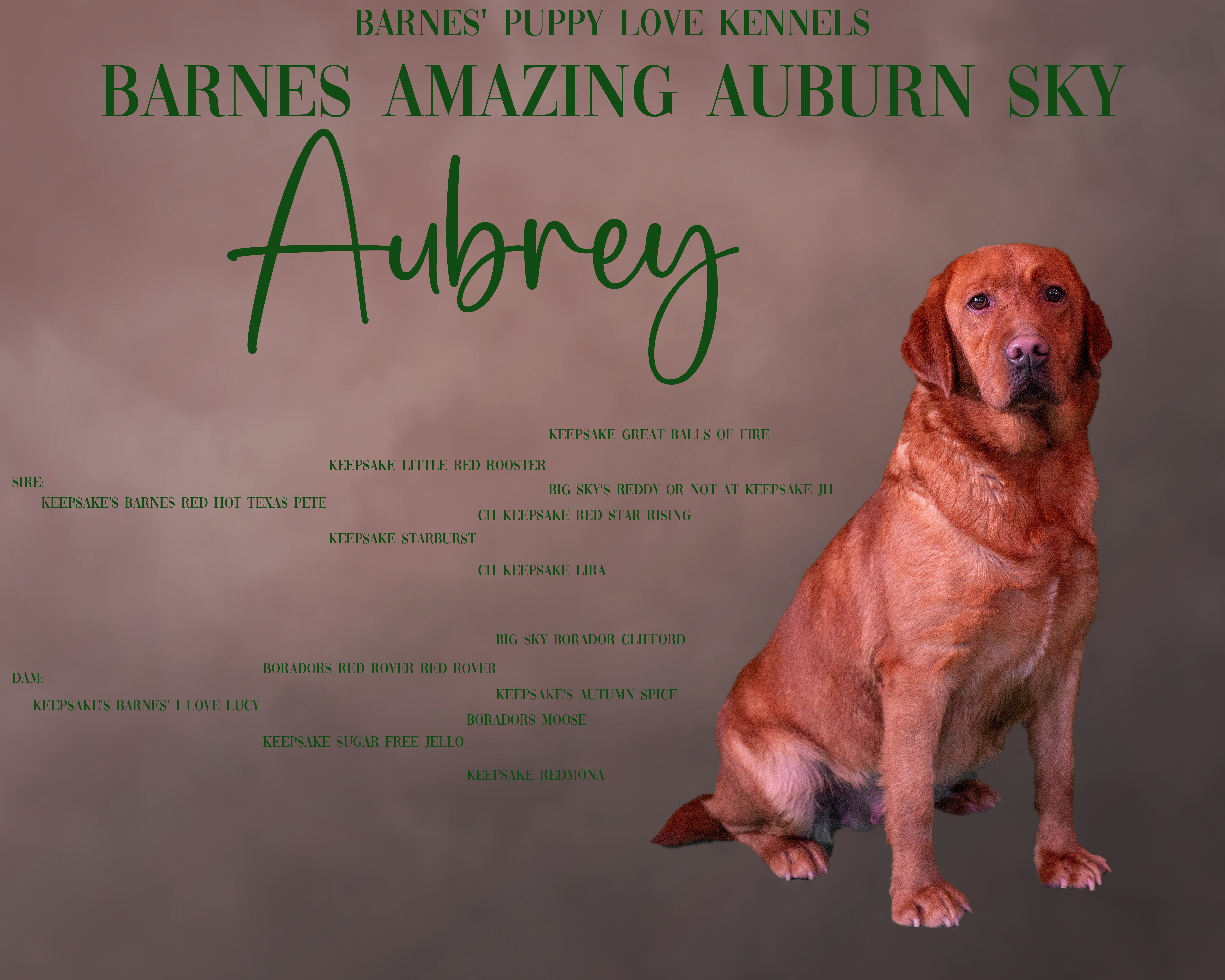 aubrey_with pedigree[14670]