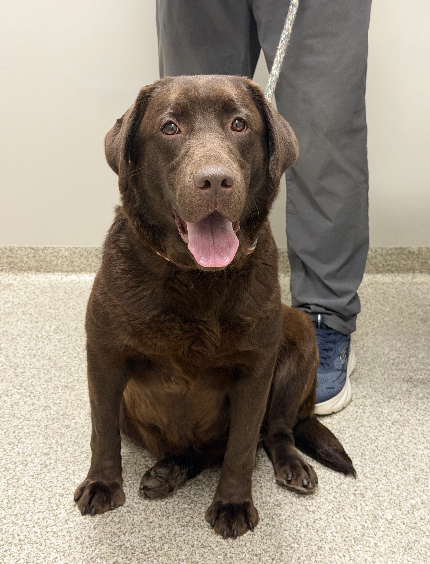 Maggie7-10-26