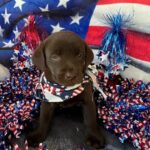 yellow female 7-3-25