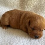 AnnieTrustyfemale5-25-23