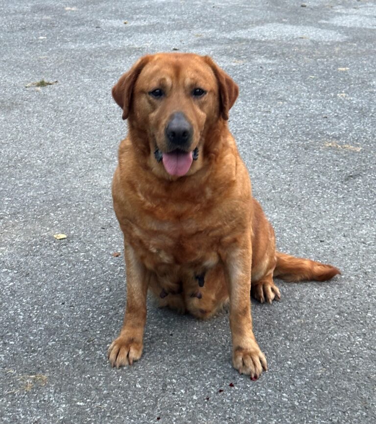 Anniesit6yr6-24