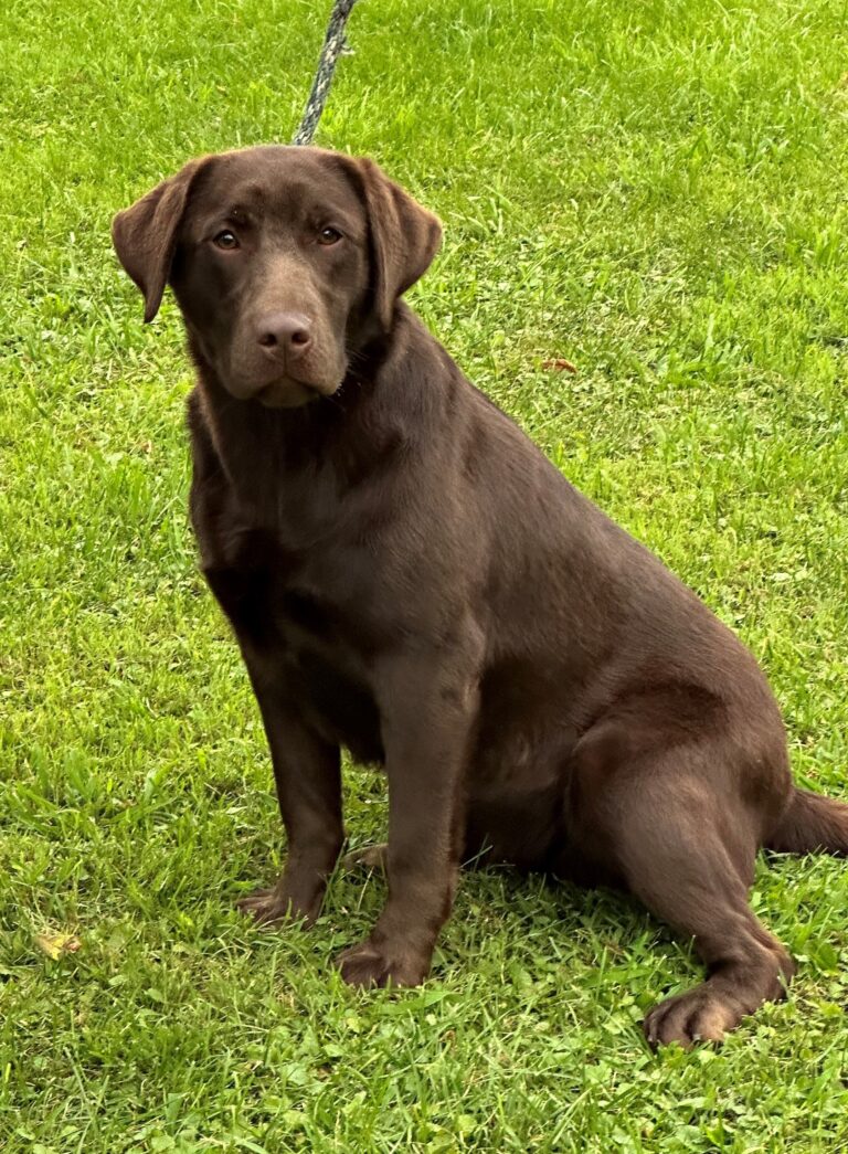 Maggie1year8-2023