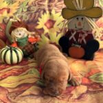 female 10-9-25