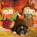Female Available  taken 10-1-25
