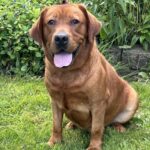 Emberflowers8-4-2025