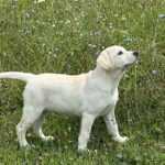 SkyREbelgirl13wks7-24