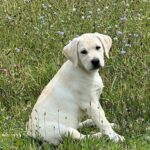SkyRebelgirl13wk7-24
