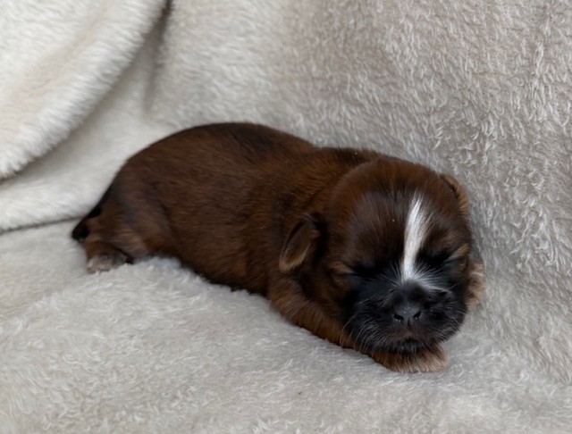 ChloeAlfie4female11-10-25