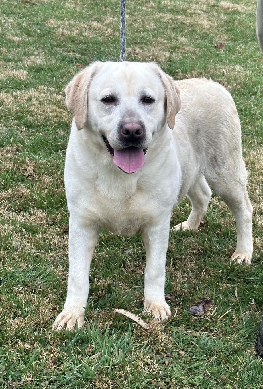 Ronafrontside3-30-25