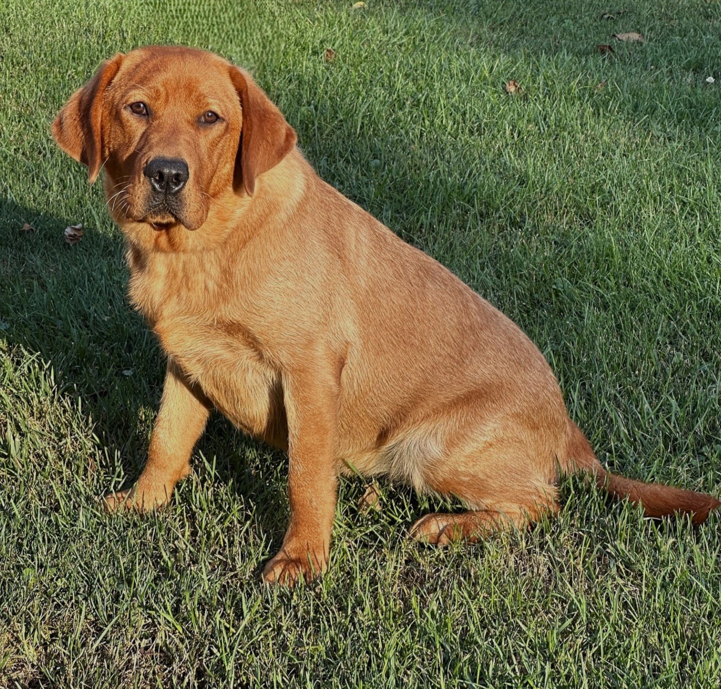 Buffysitsideyard8-24