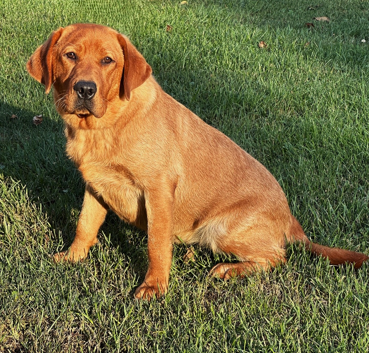 Buffysitsideyard8-24