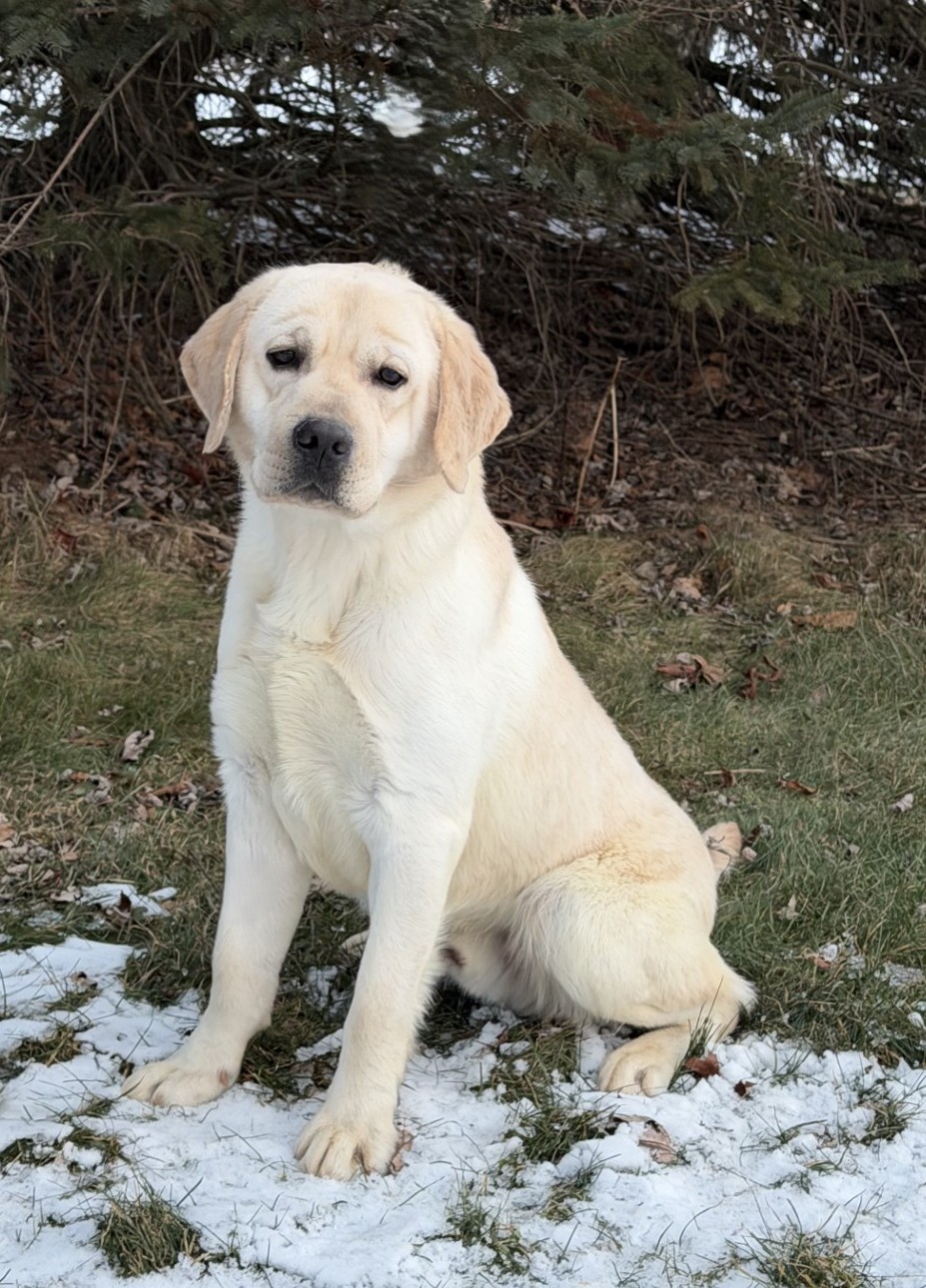 Cruise13halfmonths12-9-25